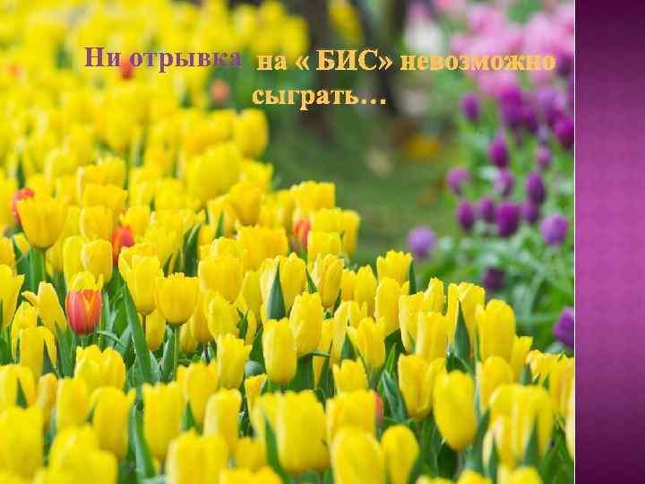 Ни отрывка на « БИС» невозможно сыграть… 