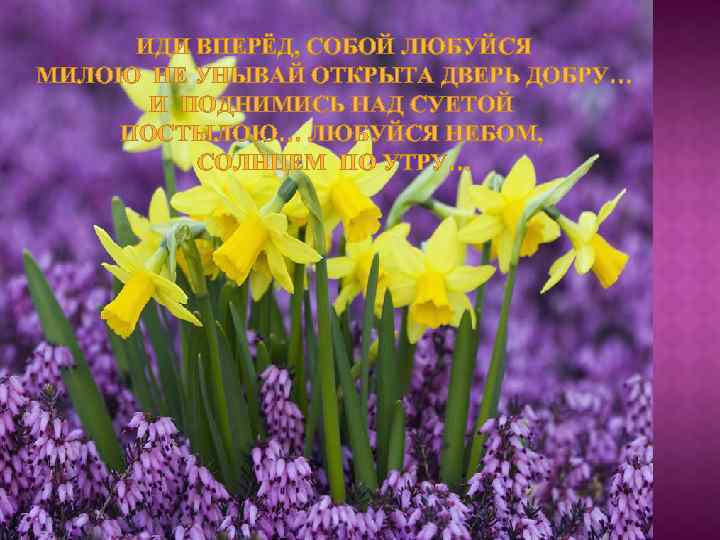 ИДИ ВПЕРЁД, СОБОЙ ЛЮБУЙСЯ МИЛОЮ НЕ УНЫВАЙ ОТКРЫТА ДВЕРЬ ДОБРУ… И ПОДНИМИСЬ НАД СУЕТОЙ