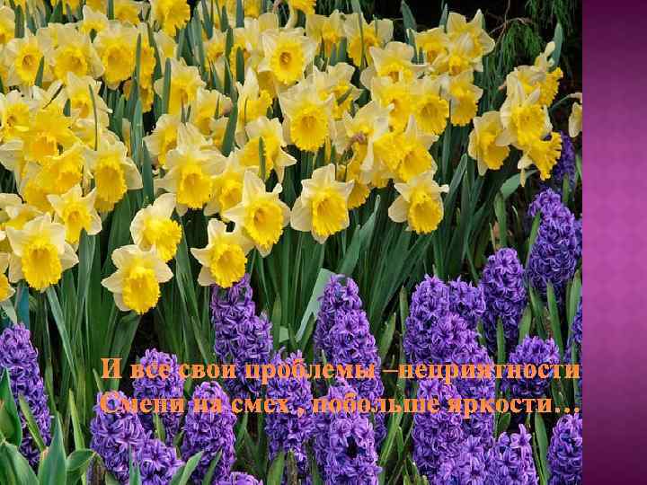 И все свои проблемы –неприятности Смени на смех , побольше яркости… 