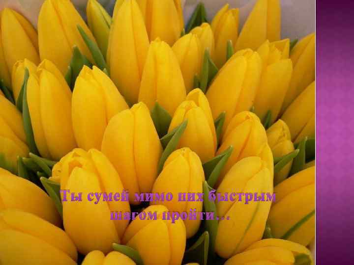 Ты сумей мимо них быстрым шагом пройти… 