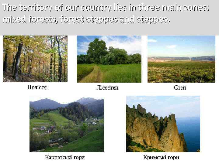 The territory of our country lies in three main zones: mixed forests, forest-steppes and