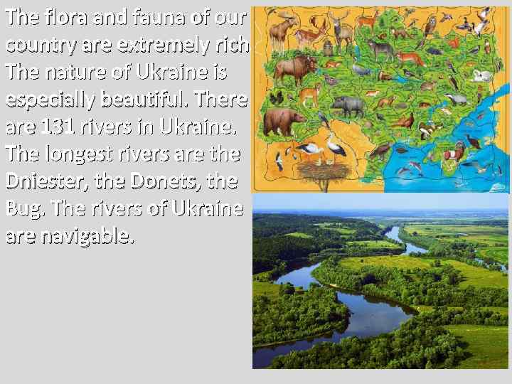 The flora and fauna of our country are extremely rich. The nature of Ukraine