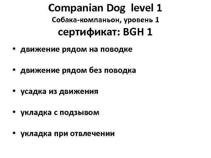 Companian Dog level 1 Собака-компаньон, уровень 1 сертификат: BGH 1 • движение рядом на