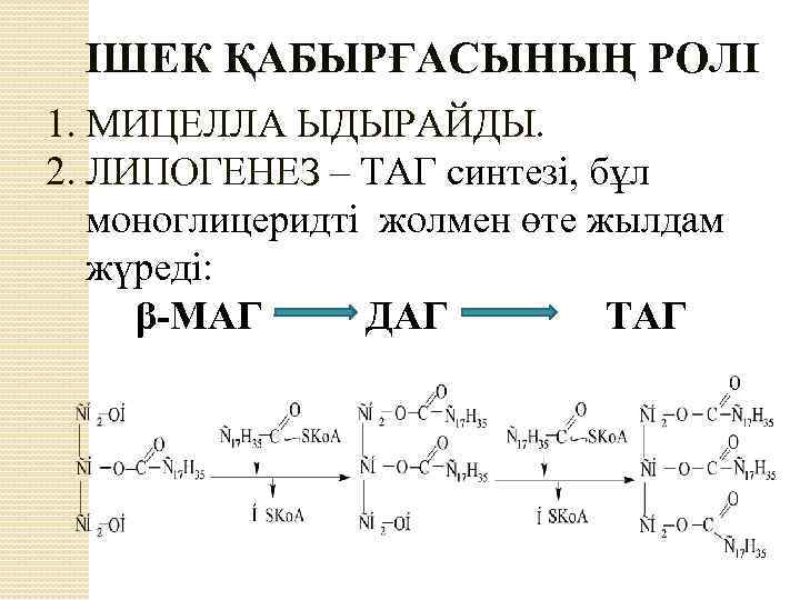 ІШЕК ҚАБЫРҒАСЫНЫҢ РОЛІ 1. МИЦЕЛЛА ЫДЫРАЙДЫ. 2. ЛИПОГЕНЕЗ – ТАГ синтезі, бұл моноглицеридті жолмен