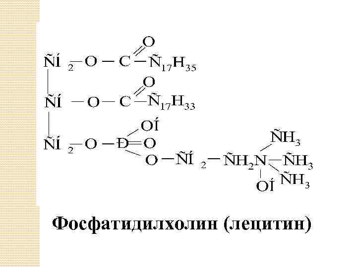 Фосфатидилхолин (лецитин) 