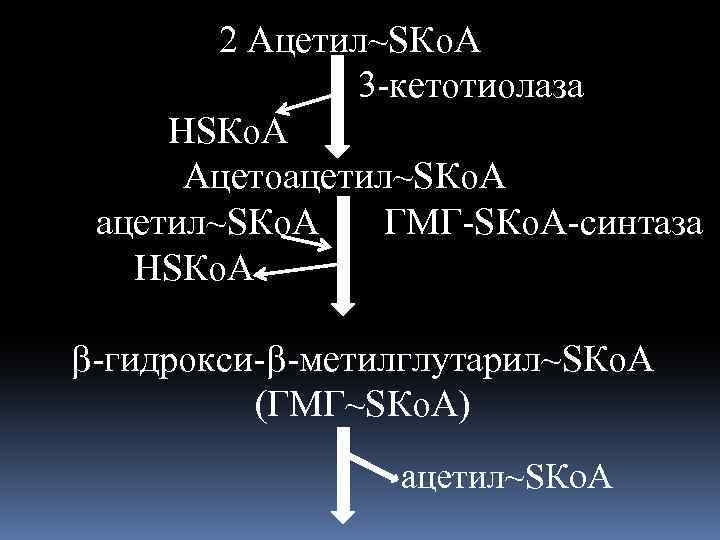 2 Ацетил~SКo. A 3 -кетотиолаза НSКo. A Ацетоацетил~SКo. A ГМГ-SКо. А-синтаза НSКo. A -гидрокси-