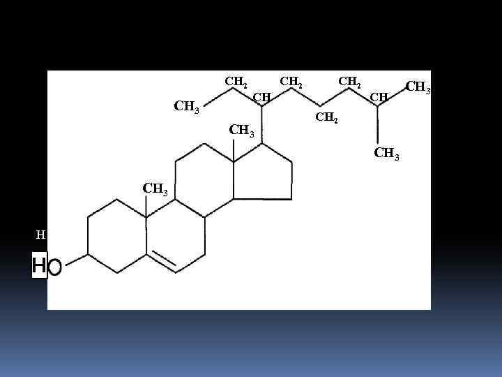 СН 2 СН 3 СН 2 СН 3 Н Н СН 3 