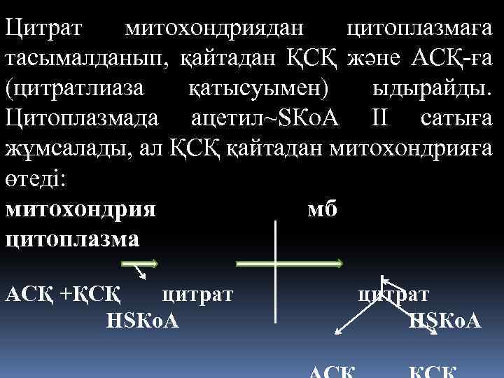 Цитрат митохондриядан цитоплазмаға тасымалданып, қайтадан ҚСҚ және АСҚ-ға (цитратлиаза қатысуымен) ыдырайды. Цитоплазмада ацетил~SКo. A