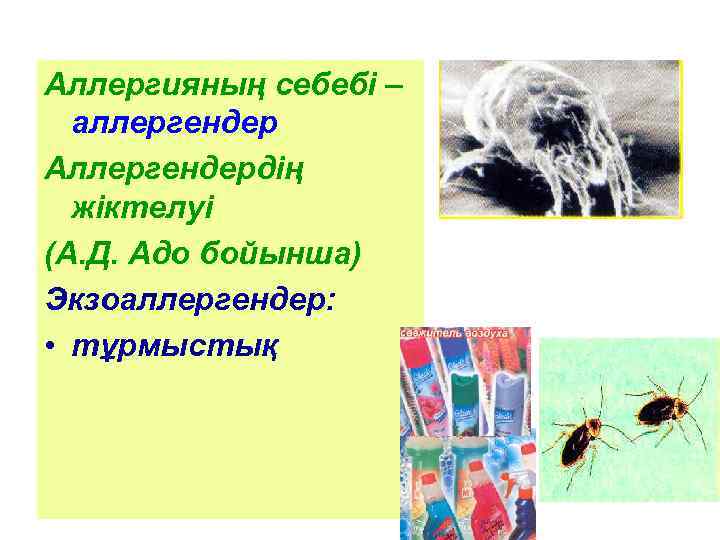 Аллергияның себебі – аллергендер Аллергендердің жіктелуі (А. Д. Адо бойынша) Экзоаллергендер: • тұрмыстық 