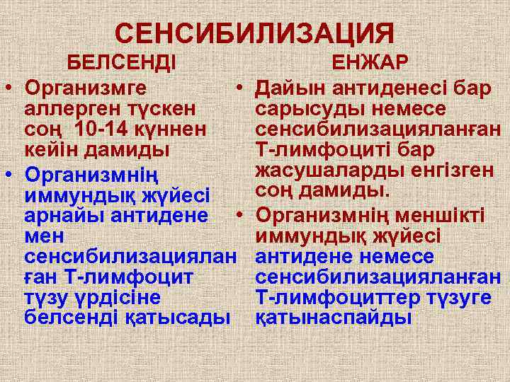 СЕНСИБИЛИЗАЦИЯ БЕЛСЕНДІ • Организмге • аллерген түскен соң 10 -14 күннен кейін дамиды •