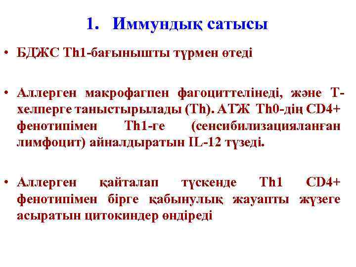 1. Иммундық сатысы • БДЖС Th 1 -бағынышты түрмен өтеді • Аллерген макрофагпен фагоциттелінеді,