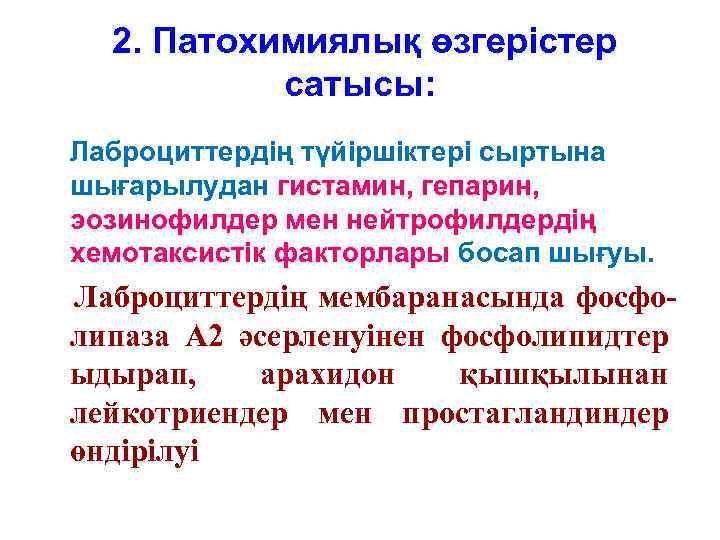 2. Патохимиялық өзгерістер сатысы: Лаброциттердің түйіршіктері сыртына шығарылудан гистамин, гепарин, эозинофилдер мен нейтрофилдердің хемотаксистік