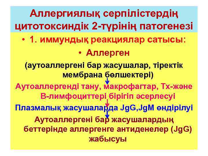 Аллергиялық серпілістердің цитотоксиндік 2 -түрінің патогенезі • 1. иммундық реакциялар сатысы: • Аллерген (аутоаллергені