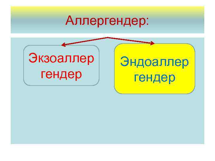 Аллергендер: Экзоаллер гендер Эндоаллер гендер 