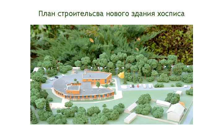 План строительсва нового здания хосписа 