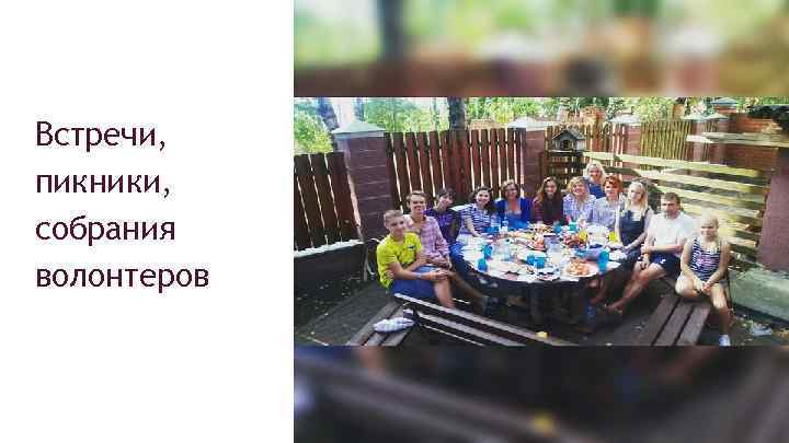 Встречи, пикники, собрания волонтеров 