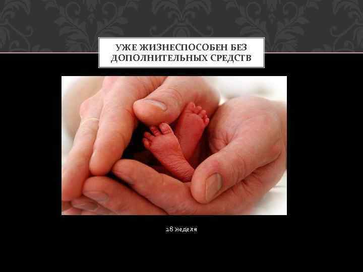 УЖЕ ЖИЗНЕСПОСОБЕН БЕЗ ДОПОЛНИТЕЛЬНЫХ СРЕДСТВ 28 неделя 