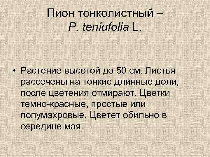 Пион тонколистный – P. teniufolia L. • Растение высотой до 50 см. Листья рассечены