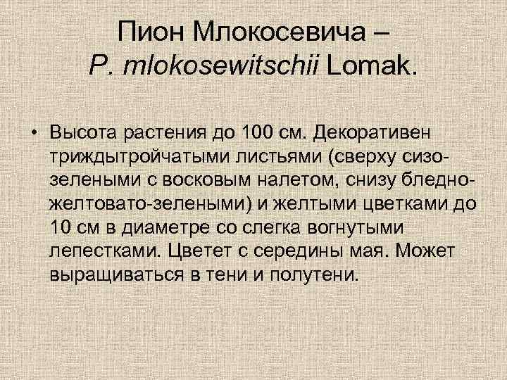 Пион Млокосевича – P. mlokosewitschii Lomak. • Высота растения до 100 см. Декоративен триждытройчатыми