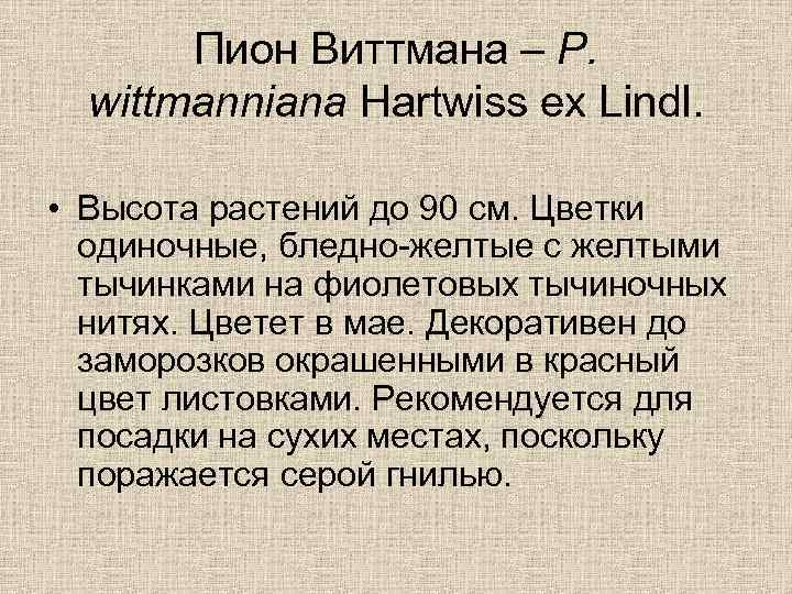 Пион Виттмана – P. wittmanniana Hartwiss ex Lindl. • Высота растений до 90 см.