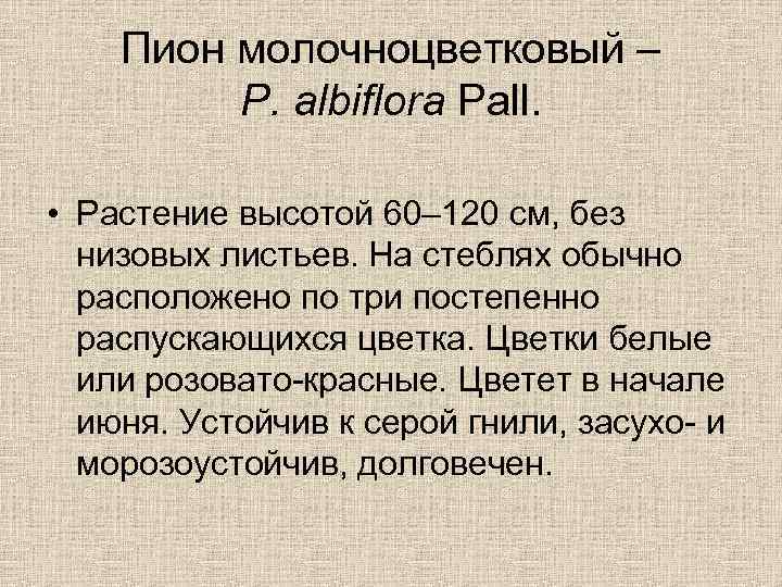 Пион молочноцветковый – P. albiflora Pall. • Растение высотой 60– 120 см, без низовых