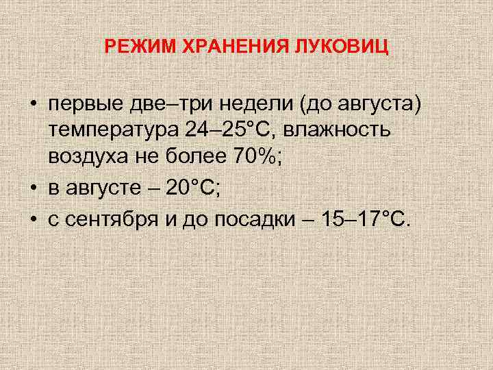 РЕЖИМ ХРАНЕНИЯ ЛУКОВИЦ • первые две–три недели (до августа) температура 24– 25°С, влажность воздуха
