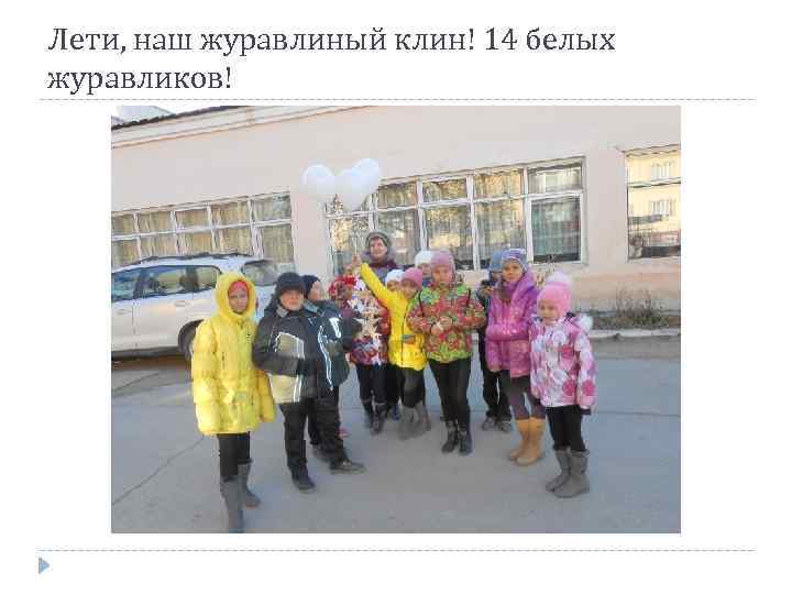 Лети, наш журавлиный клин! 14 белых журавликов! 