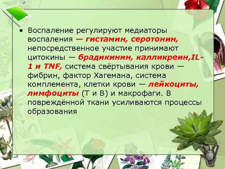  • Воспаление регулируют медиаторы воспаления — гистамин, серотонин, непосредственное участие принимают цитокины —