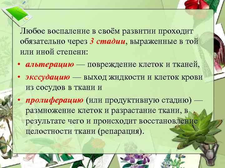 Любое воспаление в своём развитии проходит обязательно через 3 стадии, выраженные в той или