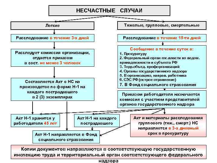 НЕСЧАСТНЫЕ СЛУЧАИ Легкие Тяжелые, групповые, смертельные Расследование в течение 3 -х дней Расследование в