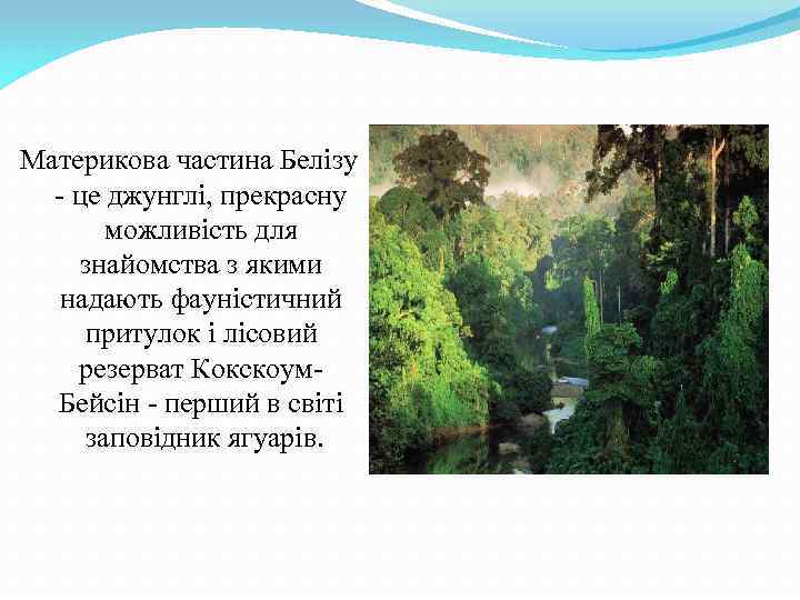 Материкова частина Белізу - це джунглі, прекрасну можливість для знайомства з якими надають фауністичний