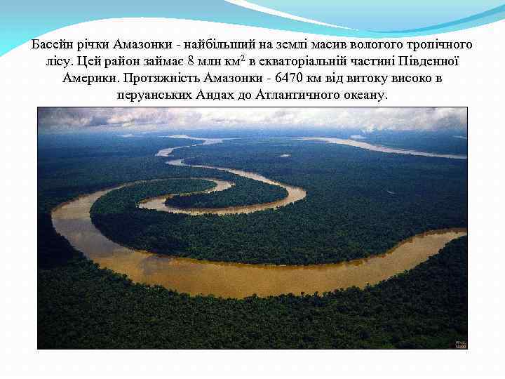 Басейн річки Амазонки - найбільший на землі масив вологого тропічного лісу. Цей район займає