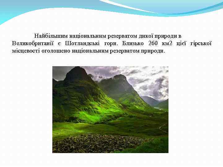 Найбільшим національним резерватом дикої природи в Великобританії є Шотландські гори. Близько 260 км 2