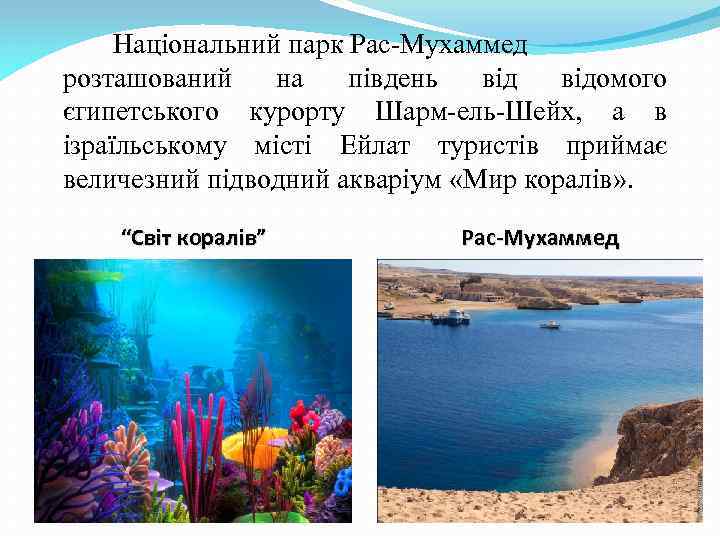 Національний парк Рас-Мухаммед розташований на південь відомого єгипетського курорту Шарм-ель-Шейх, а в ізраїльському місті