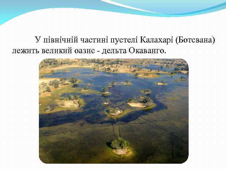 У північній частині пустелі Калахарі (Ботсвана) лежить великий оазис - дельта Окаванго. 