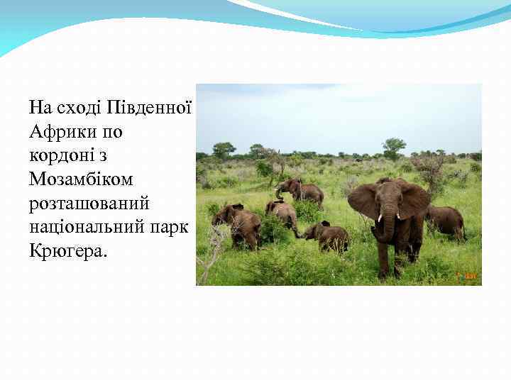 На сході Південної Африки по кордоні з Мозамбіком розташований національний парк Крюгера. 