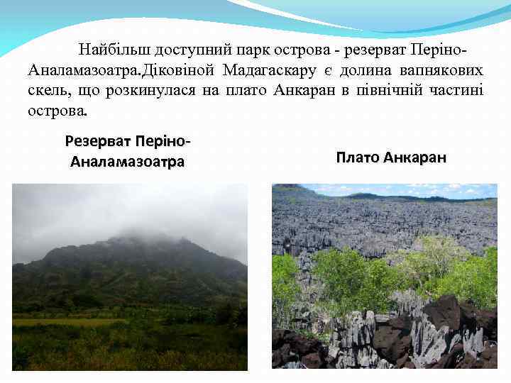 Найбільш доступний парк острова - резерват Періно. Аналамазоатра. Діковіной Мадагаскару є долина вапнякових скель,