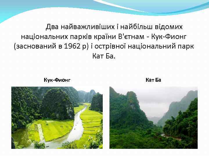 Два найважливіших і найбільш відомих національних парків країни В'єтнам - Кук-Фионг (заснований в 1962