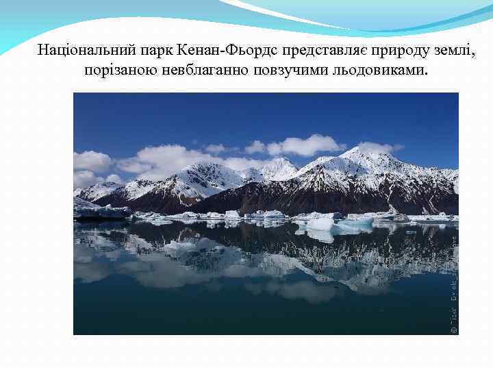 Національний парк Кенан-Фьордс представляє природу землі, порізаною невблаганно повзучими льодовиками. 