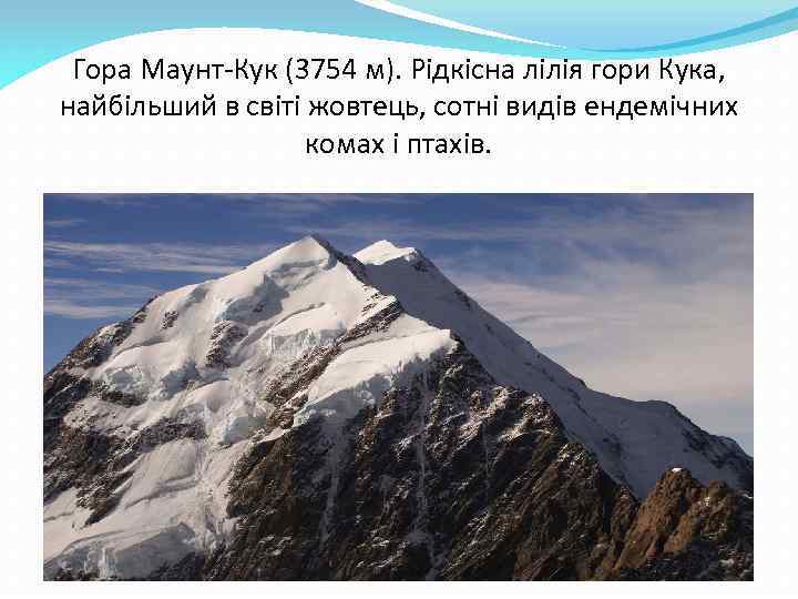 Гора Маунт-Кук (3754 м). Рідкісна лілія гори Кука, найбільший в світі жовтець, сотні видів