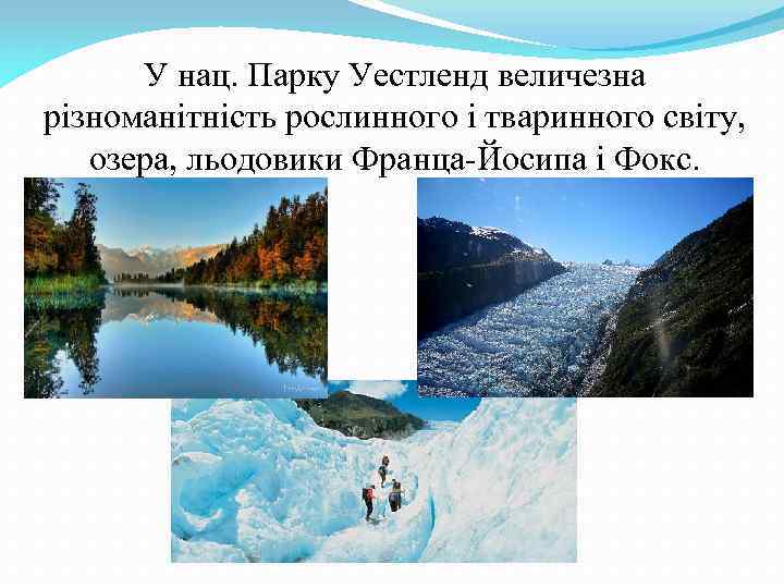 У нац. Парку Уестленд величезна різноманітність рослинного і тваринного світу, озера, льодовики Франца-Йосипа і