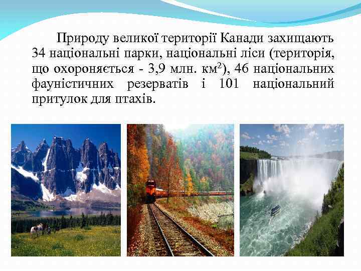 Природу великої території Канади захищають 34 національні парки, національні ліси (територія, що охороняється -