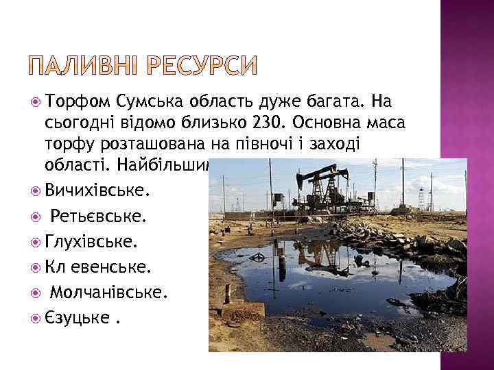  Торфом Сумська область дуже багата. На сьогодні відомо близько 230. Основна маса торфу