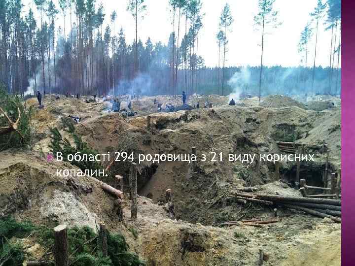  В області 294 родовища з 21 виду корисних копалин. 