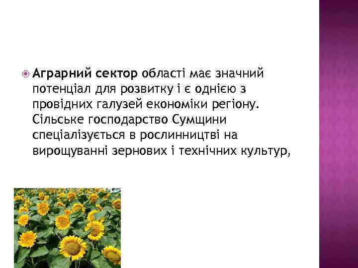  Аграрний сектор області має значний потенціал для розвитку і є однією з провідних