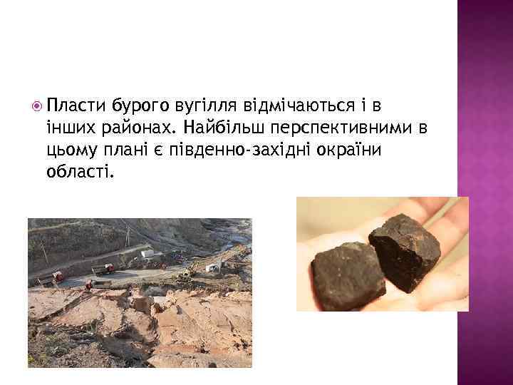  Пласти бурого вугілля відмічаються і в інших районах. Найбільш перспективними в цьому плані