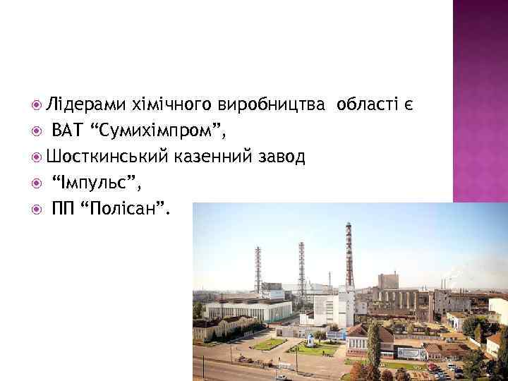  Лідерами хімічного виробництва області є ВАТ “Сумихімпром”, Шосткинський казенний завод “Імпульс”, ПП “Полісан”.