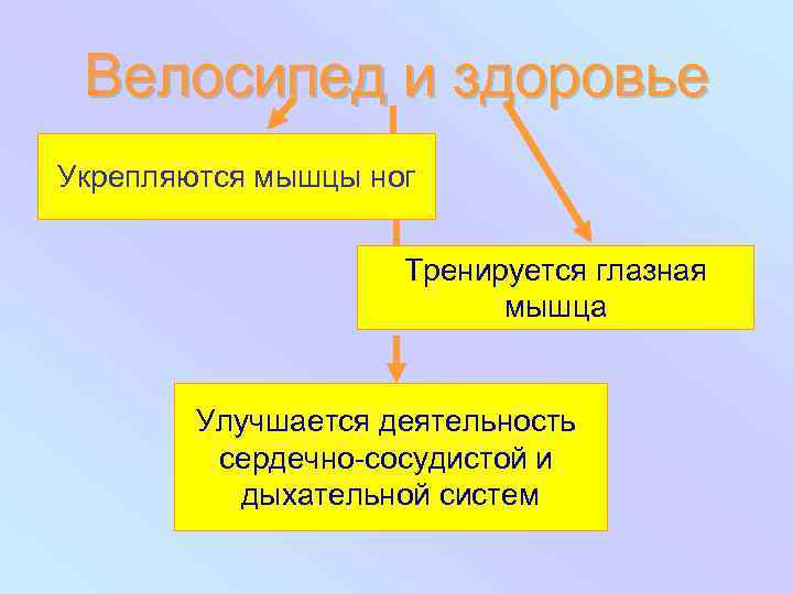 Велосипед и здоровье Укрепляются мышцы ног Тренируется глазная мышца Улучшается деятельность сердечно-сосудистой и дыхательной