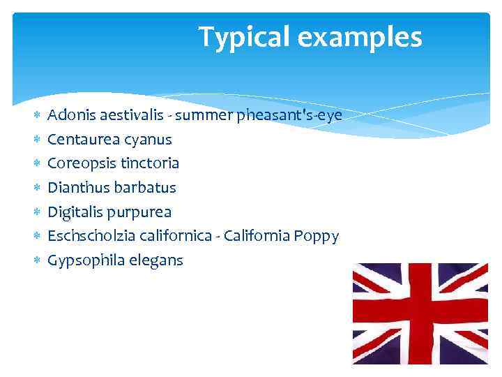 Typical examples Adonis aestivalis - summer pheasant's-eye Centaurea cyanus Coreopsis tinctoria Dianthus barbatus Digitalis