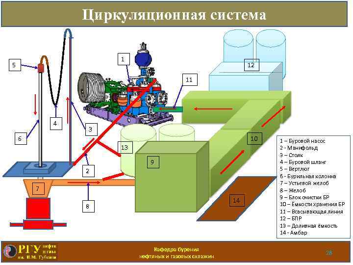 Циркуляционная система 1 5 12 11 4 3 6 10 13 9 2 7